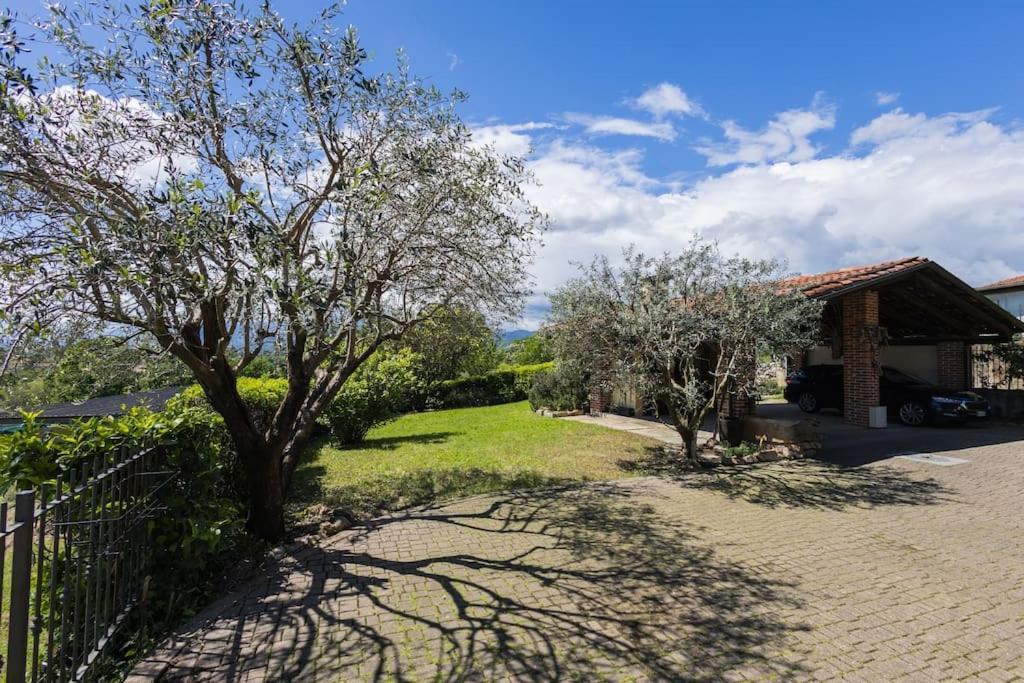 Villa Bruno Selvago In Lessona Екстер'єр фото