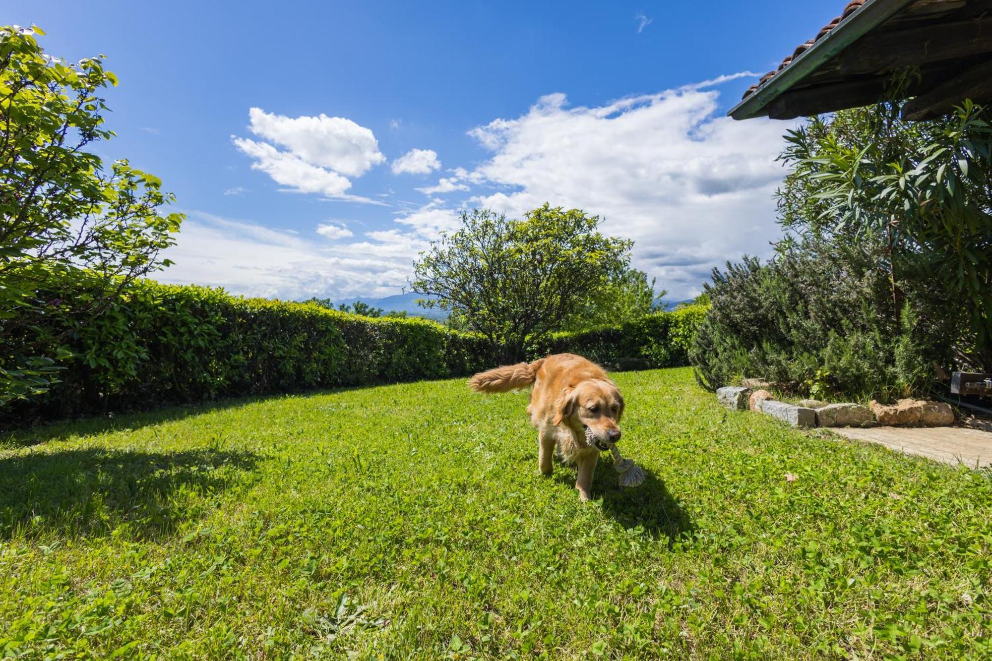 Villa Bruno Selvago In Lessona Екстер'єр фото